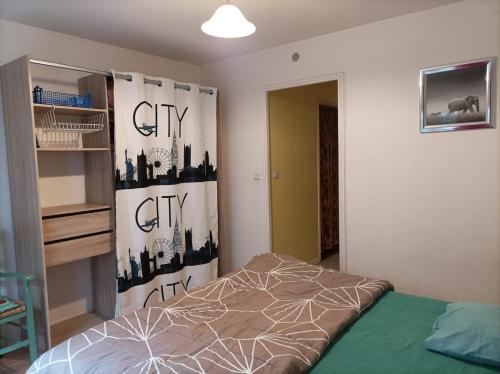 ein Schlafzimmer mit einem Bett und einem Stadtvorhang in der Unterkunft Près Gare T2 42m2 avec jardinet-terrasse 10m2 in Angoulême
