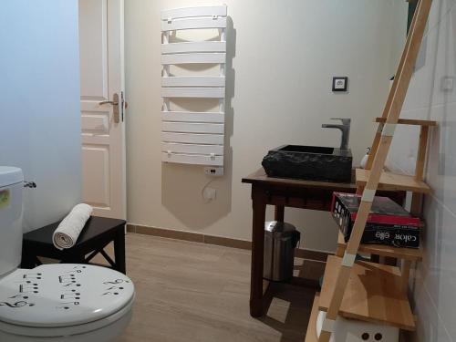 a bathroom with a toilet and a table and a ladder at Gîte charentais avec cour privative, baby-équipement, télétravail, vélos, BBQ, animaux acceptés - FR-1-653-170 in Chalais