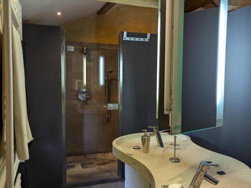 Koupelna v ubytování Prieuré du XVème restauré, jardin clos de 2000 m², piscine, cheminée, WiFi fibre, proche église - FR-1-653-219