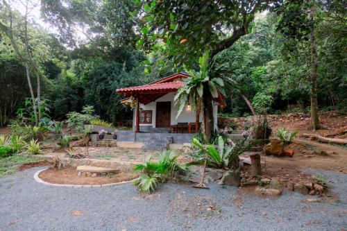 une petite maison au milieu d'un jardin dans l'établissement Deer House Hiriketiya, à Dikwella