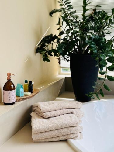 a bathroom with a potted plant and towels on a counter at Villa Vista in Wassenaar