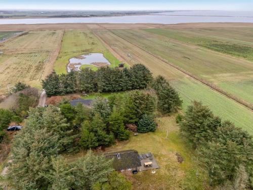 Vista aérea de una casa de campo con un estanque en Holiday Home Brawith - 700m to the fjord by Interhome, en Ringkøbing