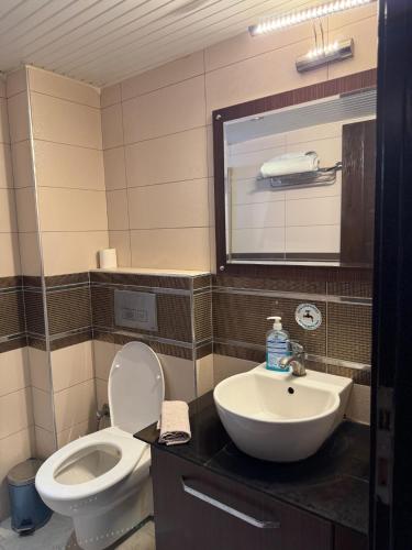 a bathroom with a toilet and a sink at Alya otel in Burdur