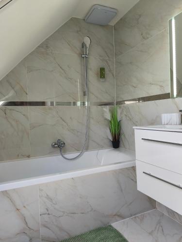 a bathroom with a shower and a bath tub at Apartmán Zelený dom 43 in Banská Štiavnica