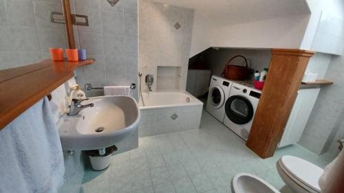 a bathroom with a sink and a washing machine at Bella Cortina - comodo al centro e impianti, con garage in Cortina dʼAmpezzo