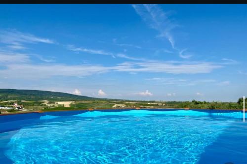IrigHopovske Terase的一座拥有清澈蓝天的大型游泳池
