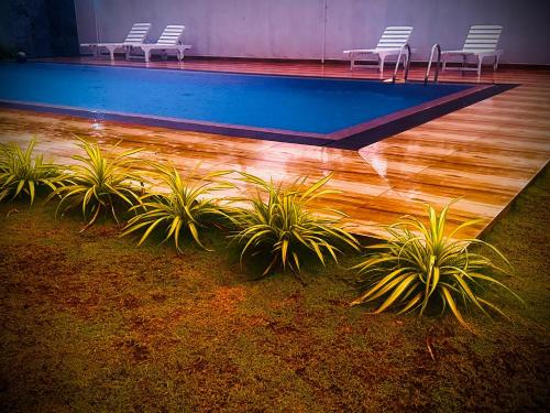 a swimming pool with chairs and plants in a room at Shrek Villa in Balapitiya