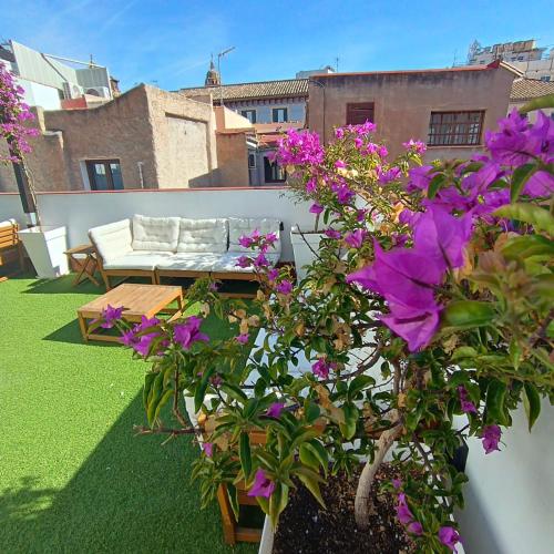 Aptos plaza de los mártires