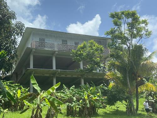 a building with trees in front of it at Casa Nube in Cayey