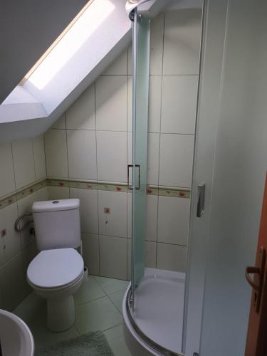 a bathroom with a toilet and a shower at Ubytovanie Otília in Zuberec