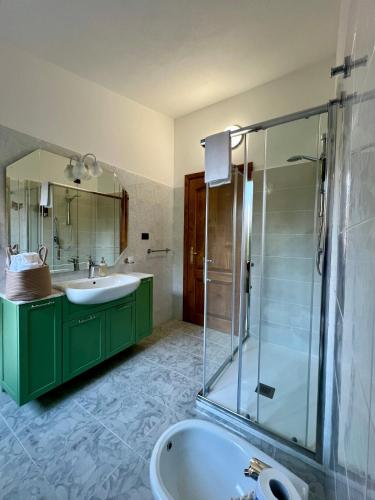 a bathroom with green cabinets and a sink and a shower at Corte 'e Susu - Domo Experience in Ortueri