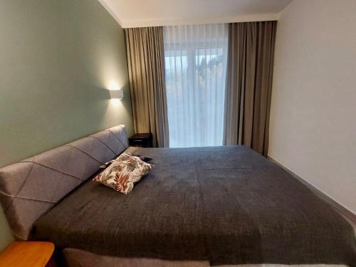 a bedroom with a large bed with a window at Apartamenty Czarna Góra 31 in Sienna
