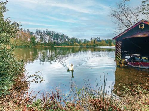 PrestonにあるShellrigg - Uk49891の家の隣の湖で泳ぐ白鳥