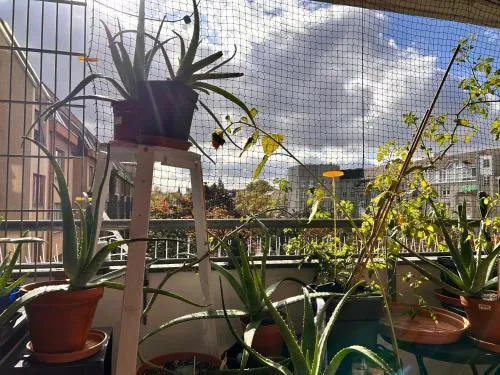 1 Zimmer mit Aussicht und 1 Zimmer mit Balkon in 4 Zimmer Wohnung, Szene, Parks und Top Lage photo 34