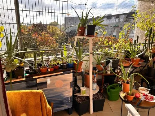 1 Zimmer mit Aussicht und 1 Zimmer mit Balkon in 4 Zimmer Wohnung, Szene, Parks und Top Lage photo 33