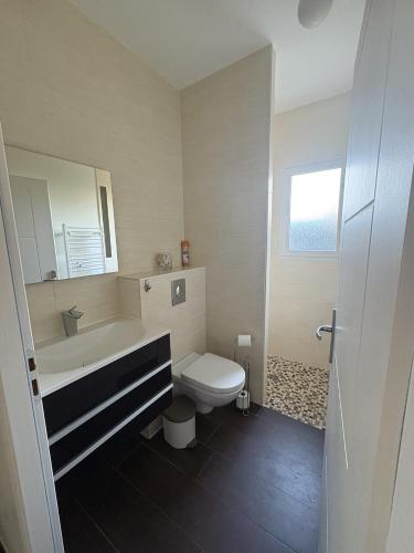 a bathroom with a toilet and a sink and mirror at Villa La Hispañola in Arès