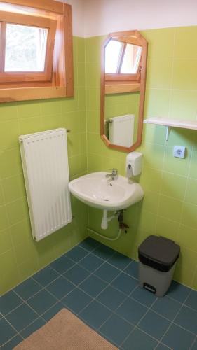a green bathroom with a sink and a mirror at Bak Vendéglő faházak in Gyulakeszi