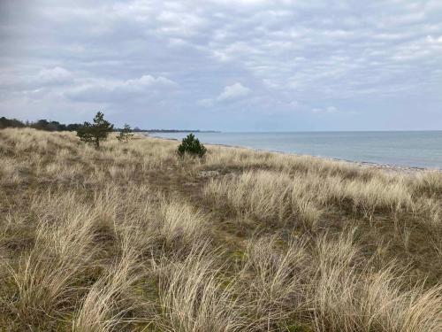 Paisaje cerca de esta casa o chalet