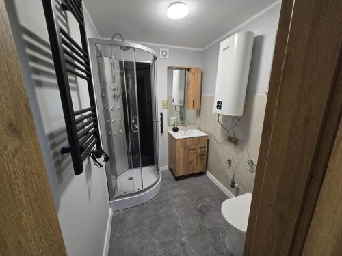 a bathroom with a shower and a sink at Domek pod Skrzycznym in Kalna