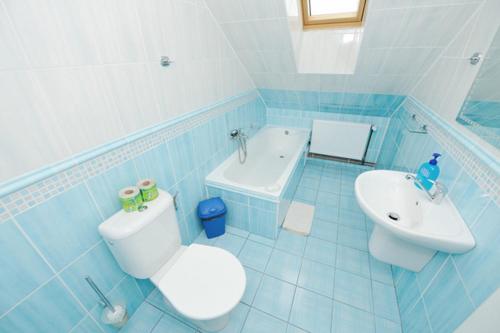 a blue bathroom with a toilet and a sink at Penzion Vyhlídka Janovičky in Broumov