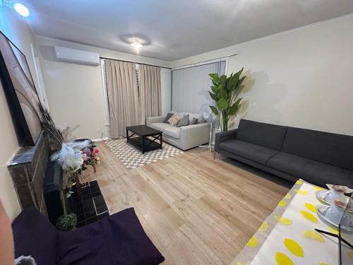 a living room with a couch and a table at Auckland Northcote Holiday home in Auckland