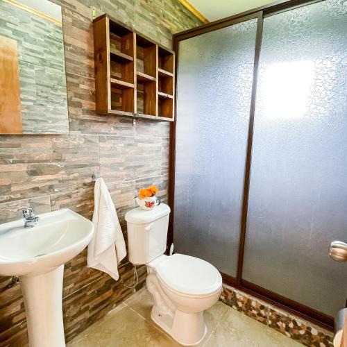 a bathroom with a toilet and a sink at Cabañas Rimü - Cabañas para 8 personas in Futrono