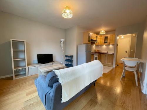 Η κουζίνα ή μικρή κουζίνα στο Appartement vue sur la Mayenne