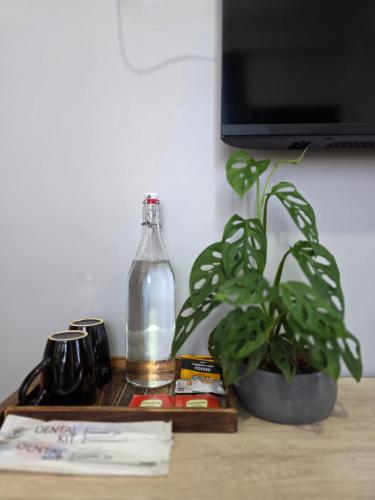 una bottiglia d'acqua e una pianta su un tavolo di The Olive Inn a Shillong
