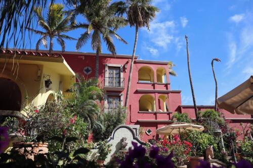 Zahrada ubytování Collection O Casa Bella Hotel Boutique, Cabo San Lucas