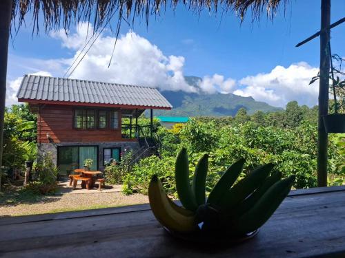 a bunch of green bananas sitting on a table in front of a house at Here in chiang dao in Chiang Dao