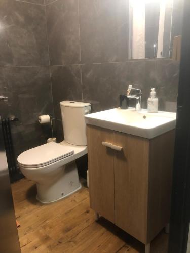 アヌシーにあるCozy Studio 10 min walk Centre and Train Station!のトイレと洗面台のあるバスルーム