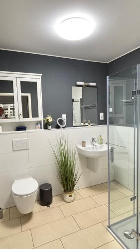 a bathroom with a toilet and a sink and a shower at Full City Apartment in Bitburg