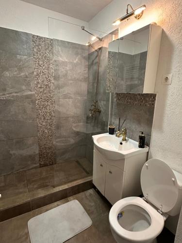 a bathroom with a toilet and a sink at Medusa Gold Studio in Târgu-Mureş