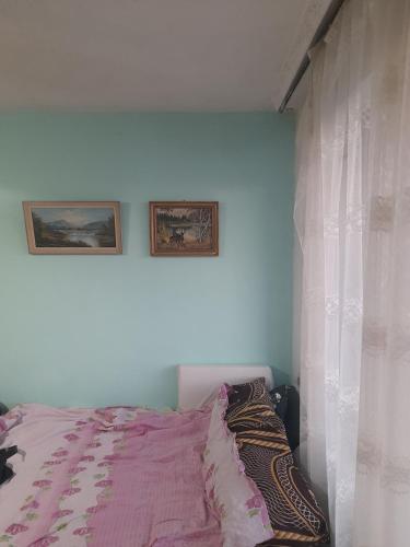 Ảnh trong thư viện ảnh của Setra ở Varna City