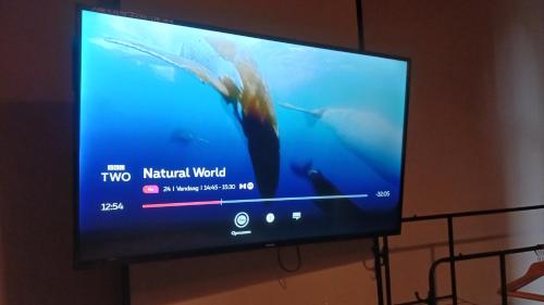 Suite Blancheにあるテレビまたはエンターテインメントセンター