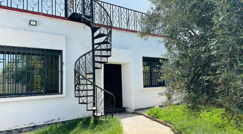 a stairway leading into a white building with a black door at Lily Manzil in Ain Cheggag