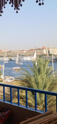 a view of the water from a balcony with a palm tree at Masa Nubian House in Aswan