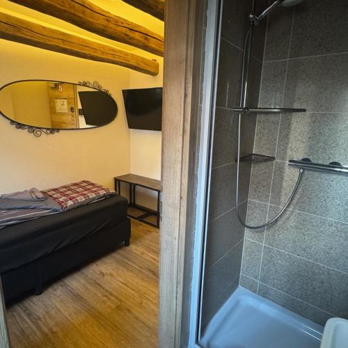 a bathroom with a shower and a bed in a room at Rose Boardinghouse 24h-7d Self Check-In Automat in Großbottwar