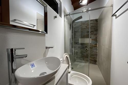 a bathroom with a sink and a toilet and a shower at Palos altos house Poblado 6 min to Provenza in El Poblado