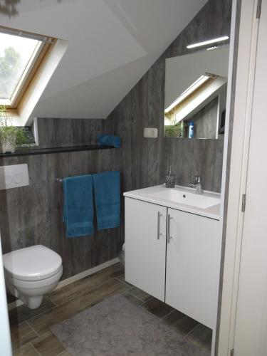 a bathroom with a toilet and a sink and a mirror at Welca in Baarlo