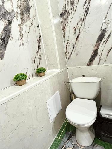 ein Badezimmer mit Toilette und zwei Pflanzen auf einem Regal in der Unterkunft Просторная 2-х комнатная квартира in Taras