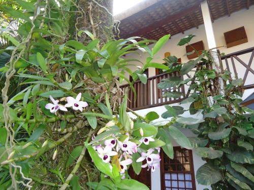 a tree with white flowers in front of a building at Pousada Laguna Blue in Paraty