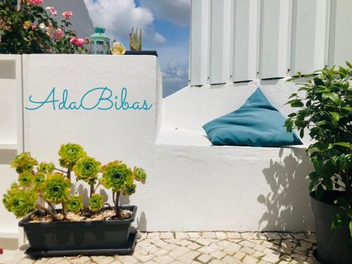 a potted plant in a pot next to a window at AdaBibas in Vermelho