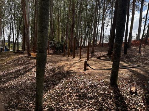 a park with a bench in the middle of a forest at Recanto dos Sonhos Ninho Verde 2 in Pardinho