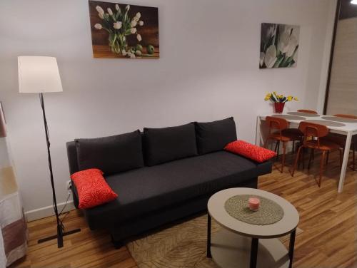 ein Wohnzimmer mit einer schwarzen Couch und einem Tisch in der Unterkunft Apartament Gardena Olsztyn in Olsztyn