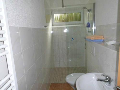 une salle de bains avec douche, toilettes et lavabo dans l'établissement Ferienwohnung Heidi, à Bielatal