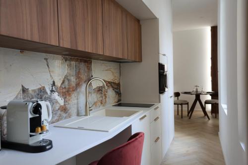 eine Küche mit Spüle und Arbeitsplatte in der Unterkunft Résidence du Lion in Belfort