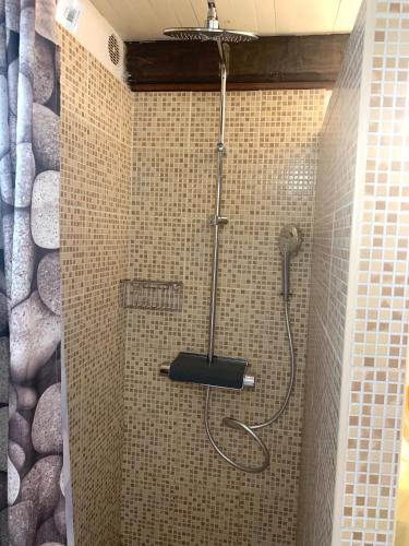a shower with a shower head in a bathroom at auxcheneslieges in Lecci