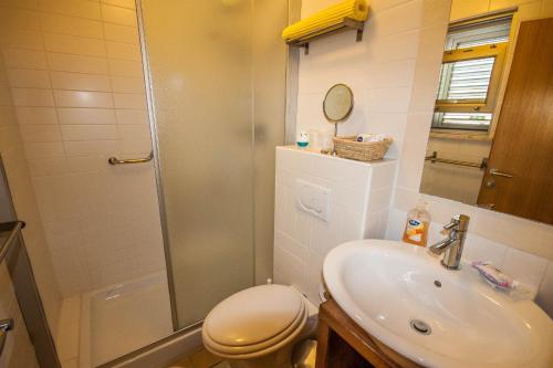 a bathroom with a shower and a toilet and a sink at Apartments Gardelin Superior in Zadar