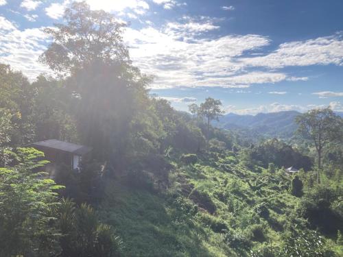 Phong cảnh thiên nhiên gần biệt thự